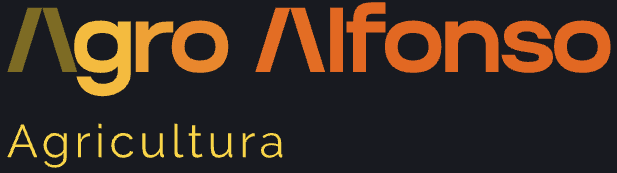 Agro Alfonso